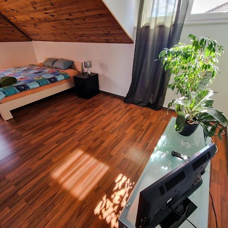 Beautiful Aparment Next To The Border 4 Room Сен-Луи Экстерьер фото