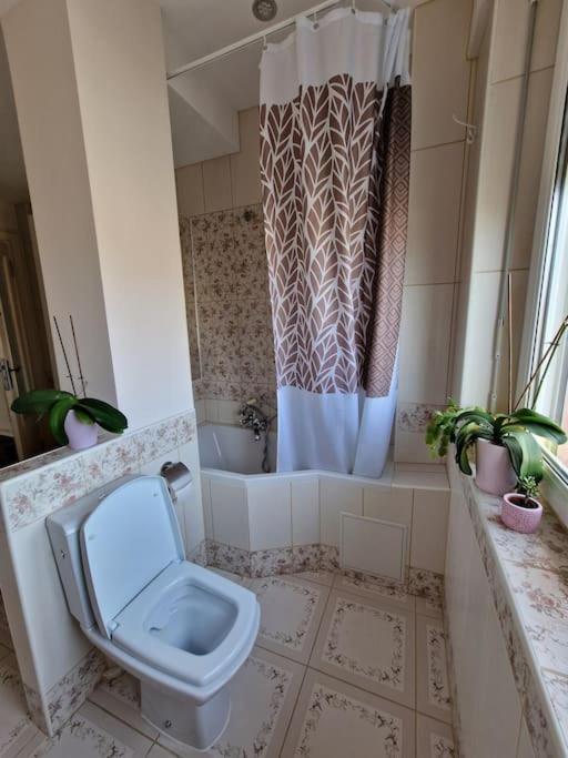 Beautiful Aparment Next To The Border 4 Room Сен-Луи Экстерьер фото