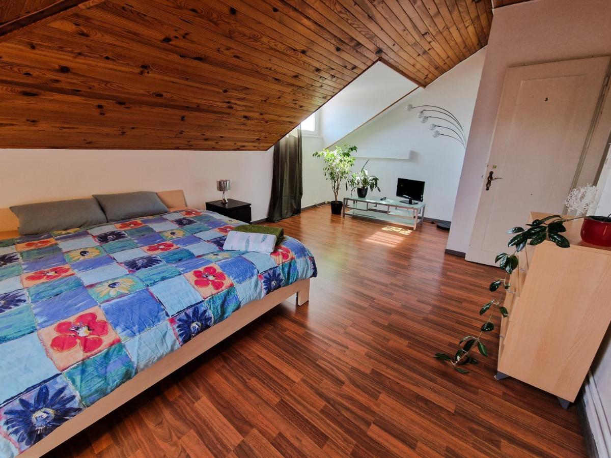 Beautiful Aparment Next To The Border 4 Room Сен-Луи Экстерьер фото