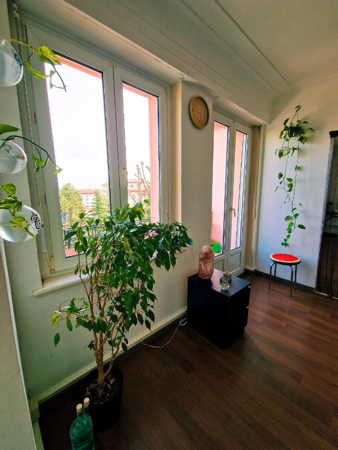 Beautiful Aparment Next To The Border 4 Room Сен-Луи Экстерьер фото